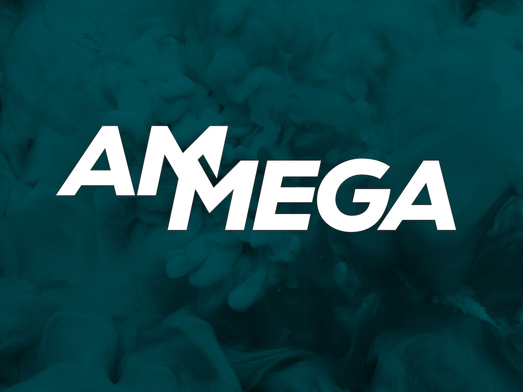 MD Web Cases Ammega 190705 2