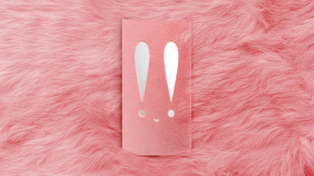 Year of rabbit-Fur