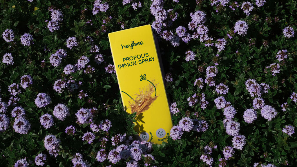 Bee Case 03