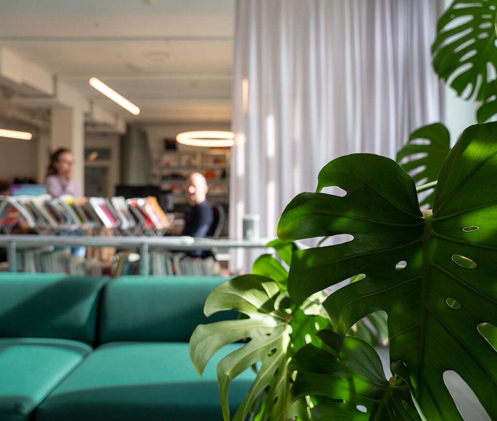 MDZ Website Office 01