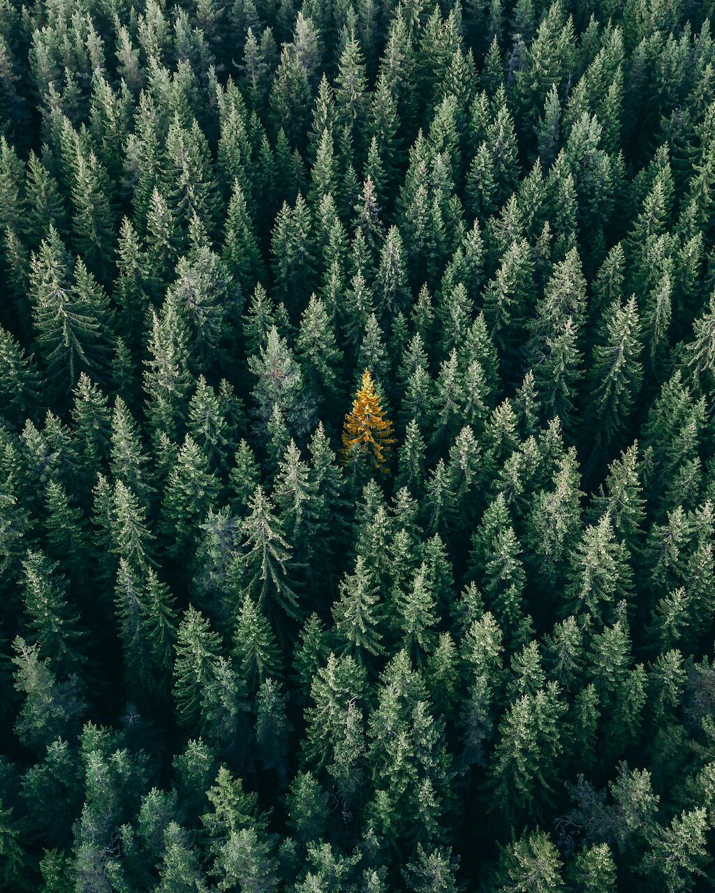 Christopher rusev UV5a Y8 N73d A unsplash